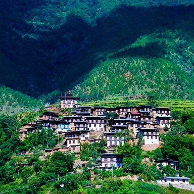 Bhutan Travel Agency